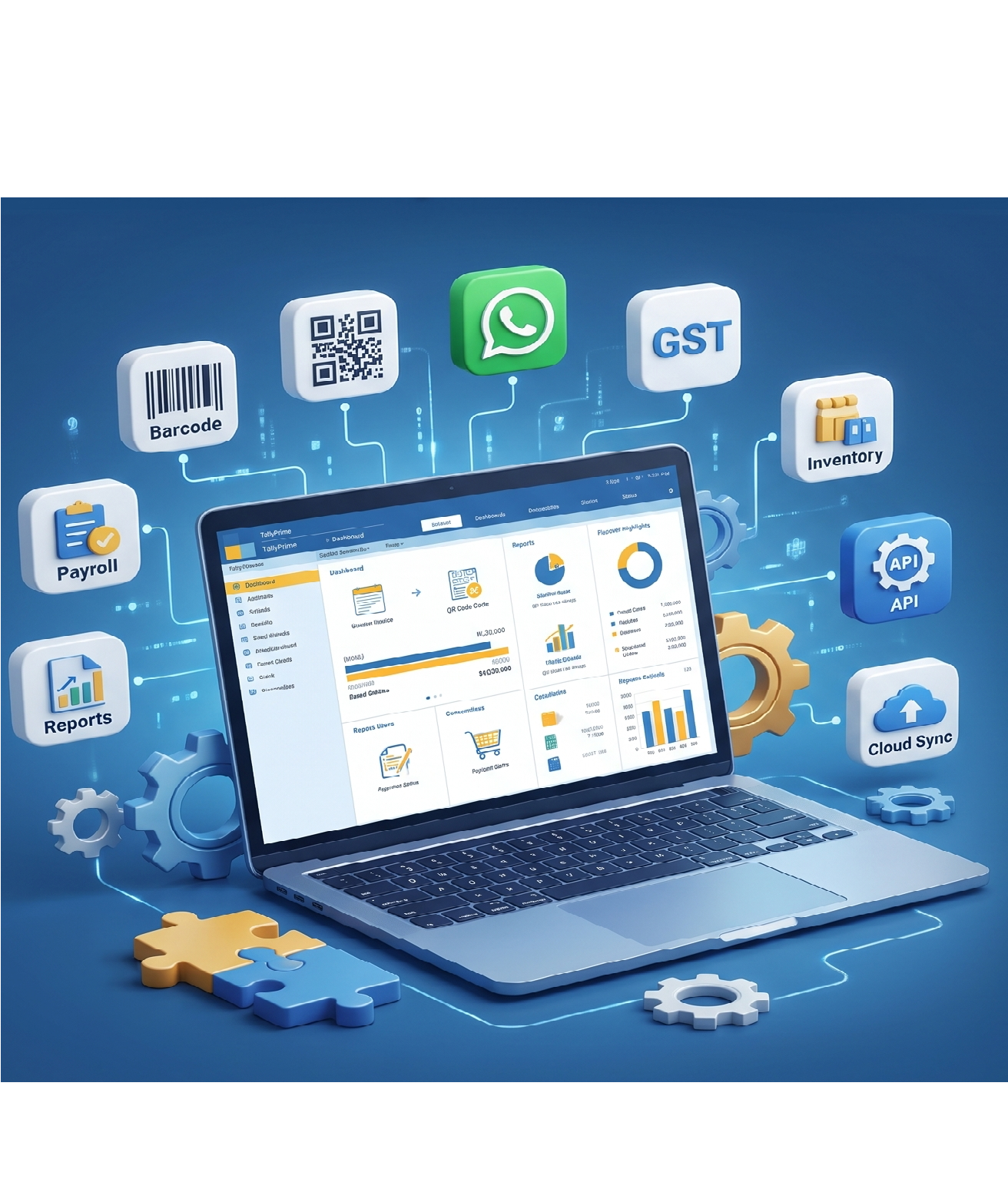 Tally Customization Services